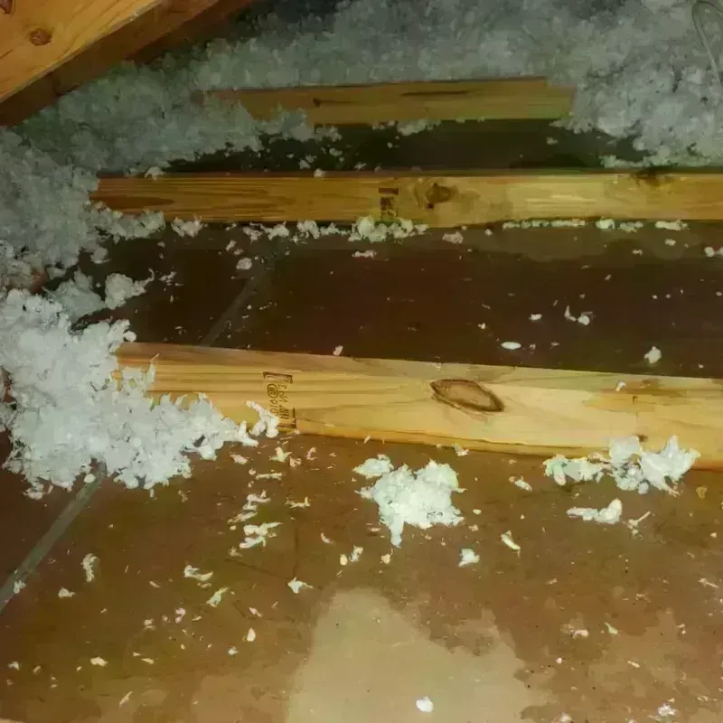 Attic Water Damage in Avondale, PA